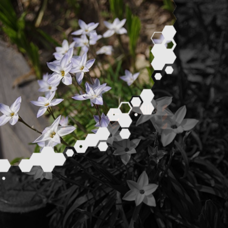 Hex Pattern Practice